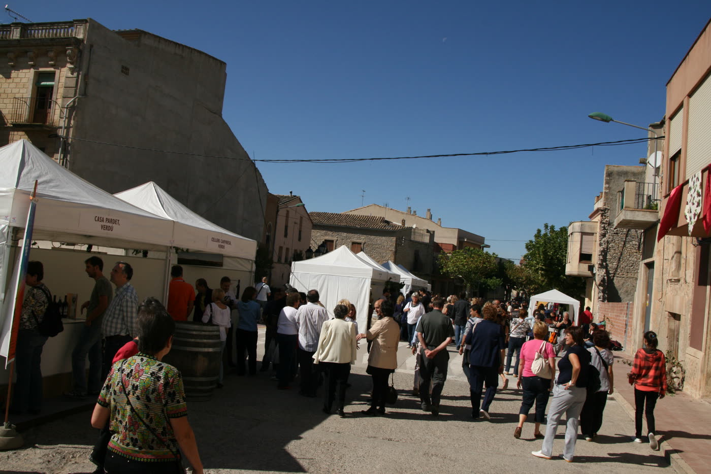 La mostra de vi sota els porxos, Bacus 2009